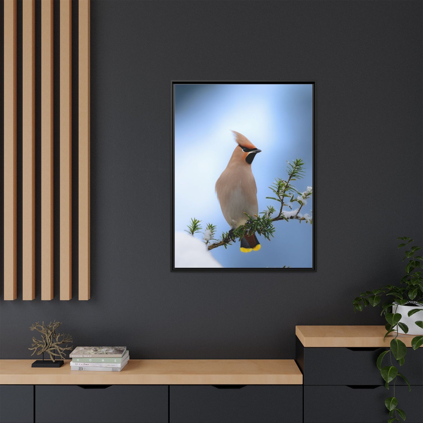 Bohemian Waxwing