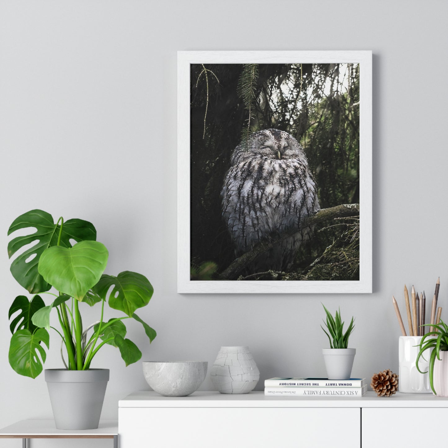 Sleepy Tawny Owl