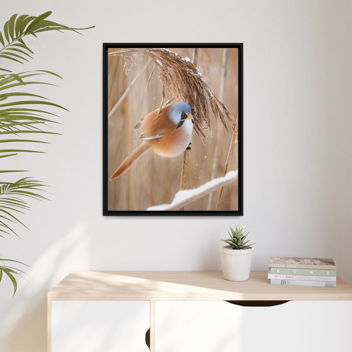 Framed Matte Canvas - Bearded Reedling Bird Photography (Winter Marsh)