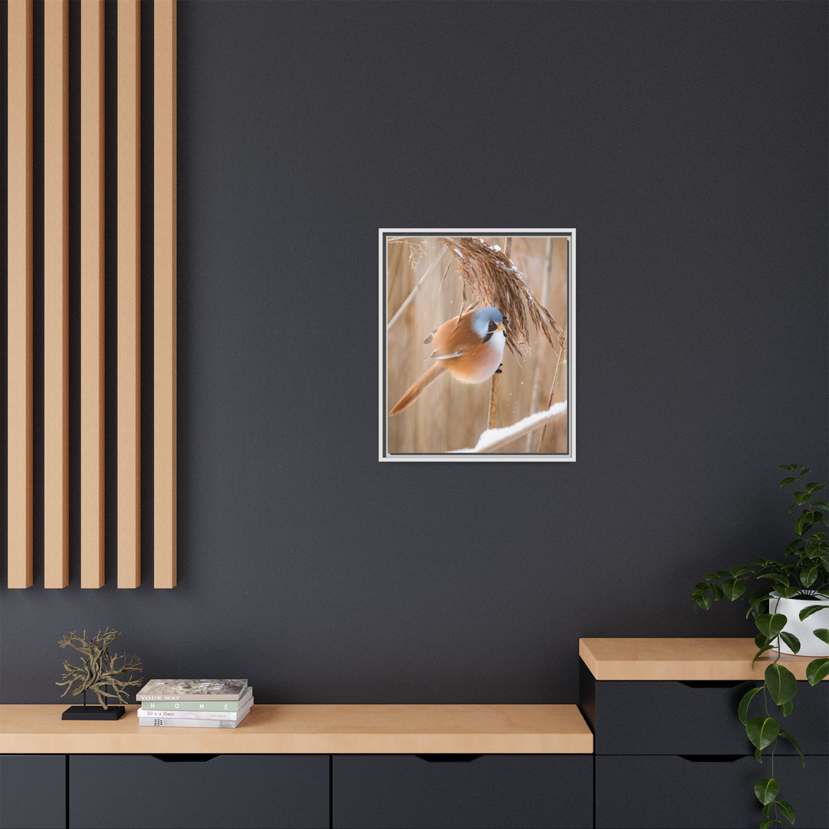 Framed Matte Canvas - Bearded Reedling Bird Photography (Winter Marsh)