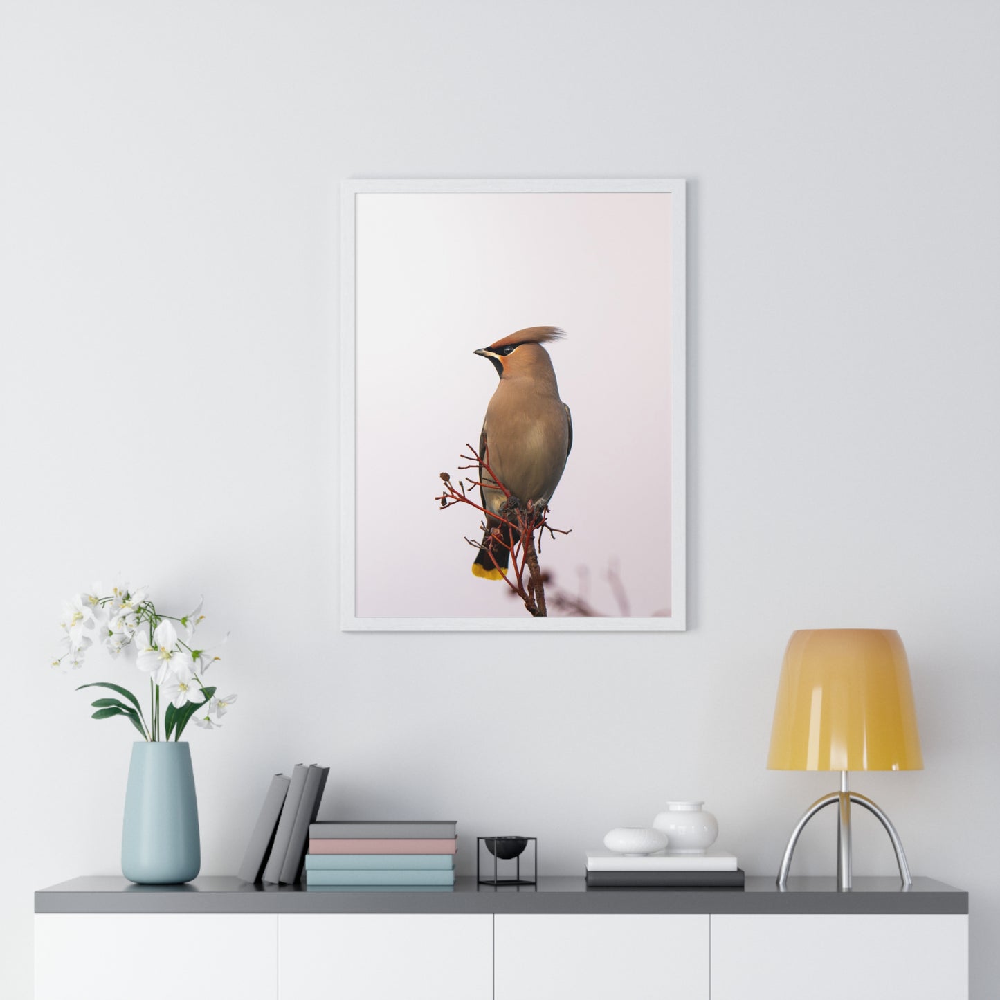 Bohemian Waxwing during sunset
