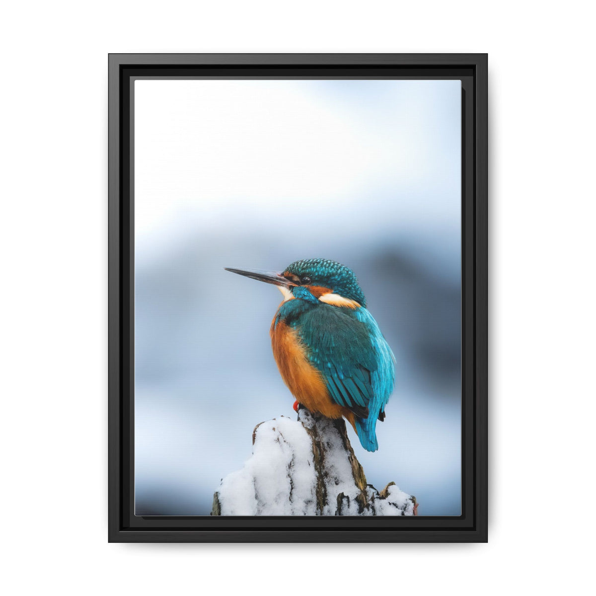 Framed Kingfisher Canvas Print — Matte Nature Wall Art
