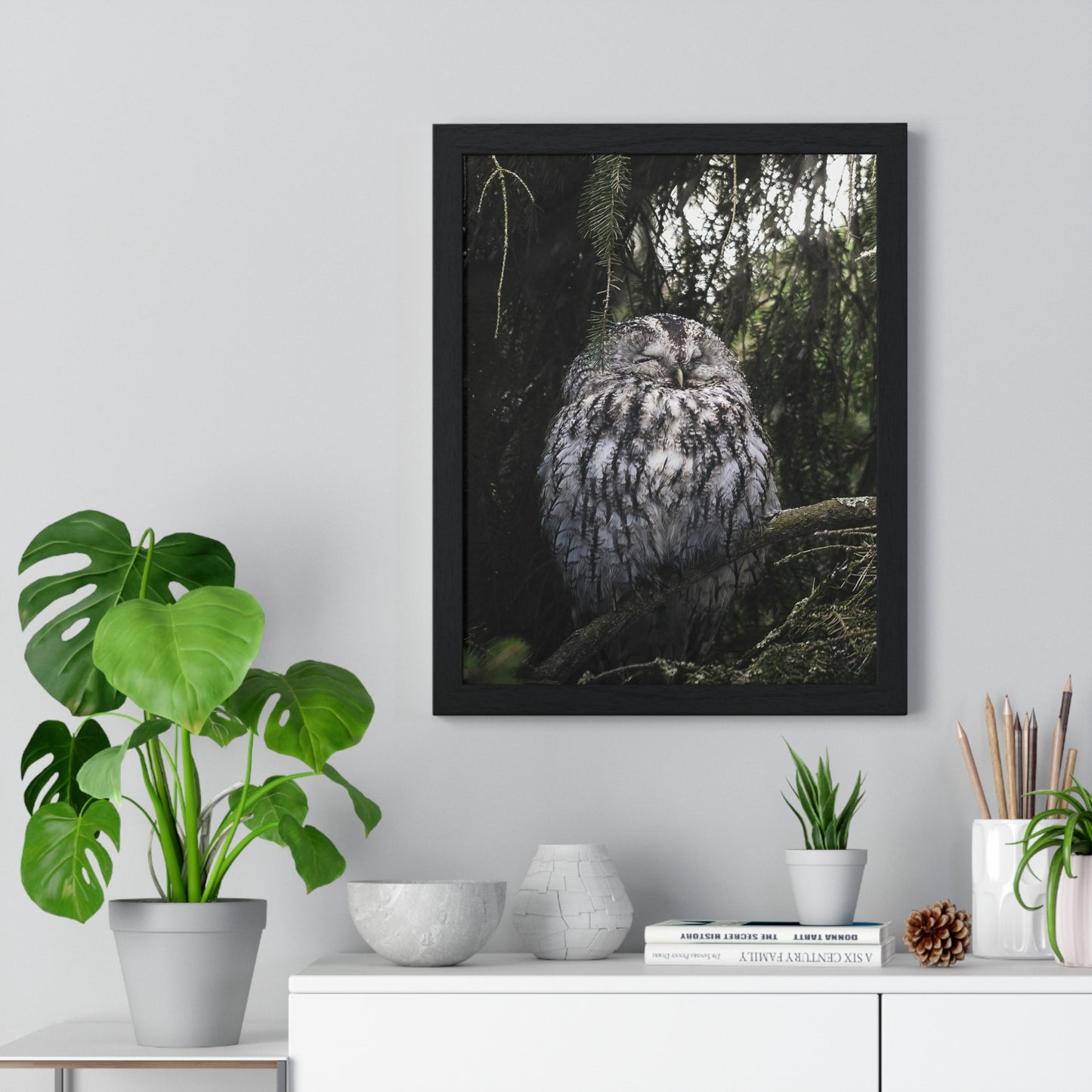 Sleepy Tawny Owl