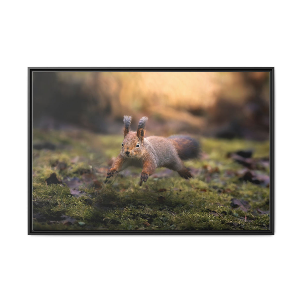 Framed Matte Canvas – Red Squirrel in Mossy Forest Wall Art