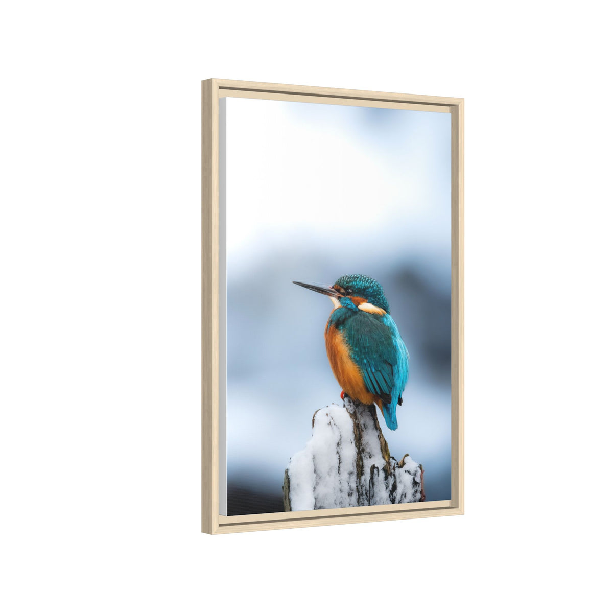 Framed Kingfisher Canvas Print — Matte Nature Wall Art