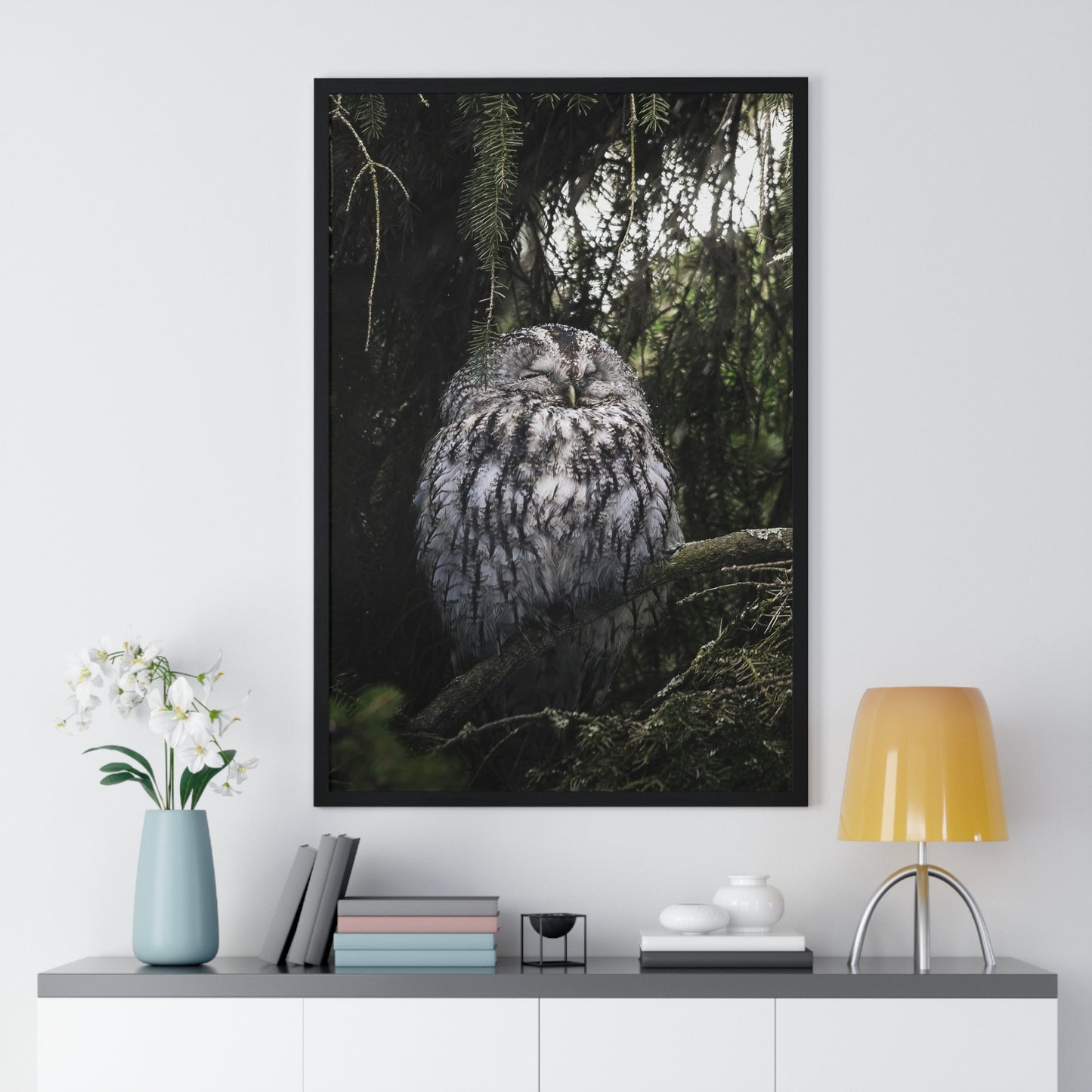 Sleepy Tawny Owl