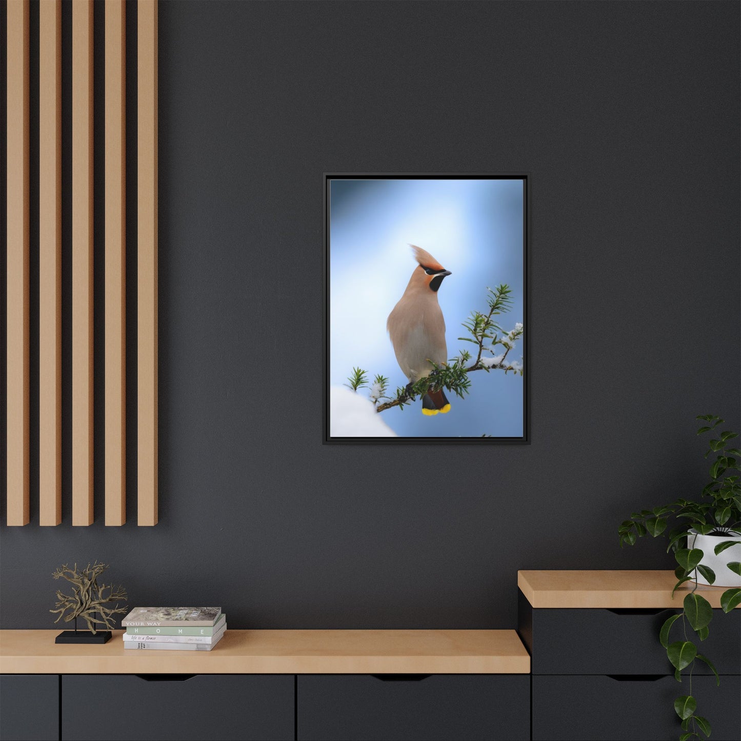 Bohemian Waxwing