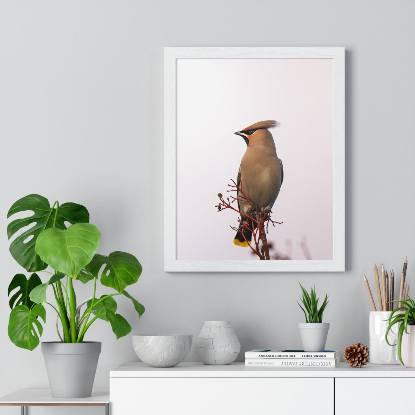 Bohemian Waxwing during sunset