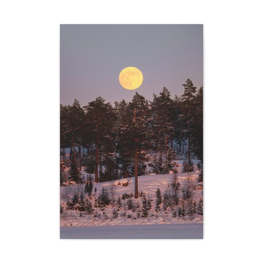 Winter Moonrise