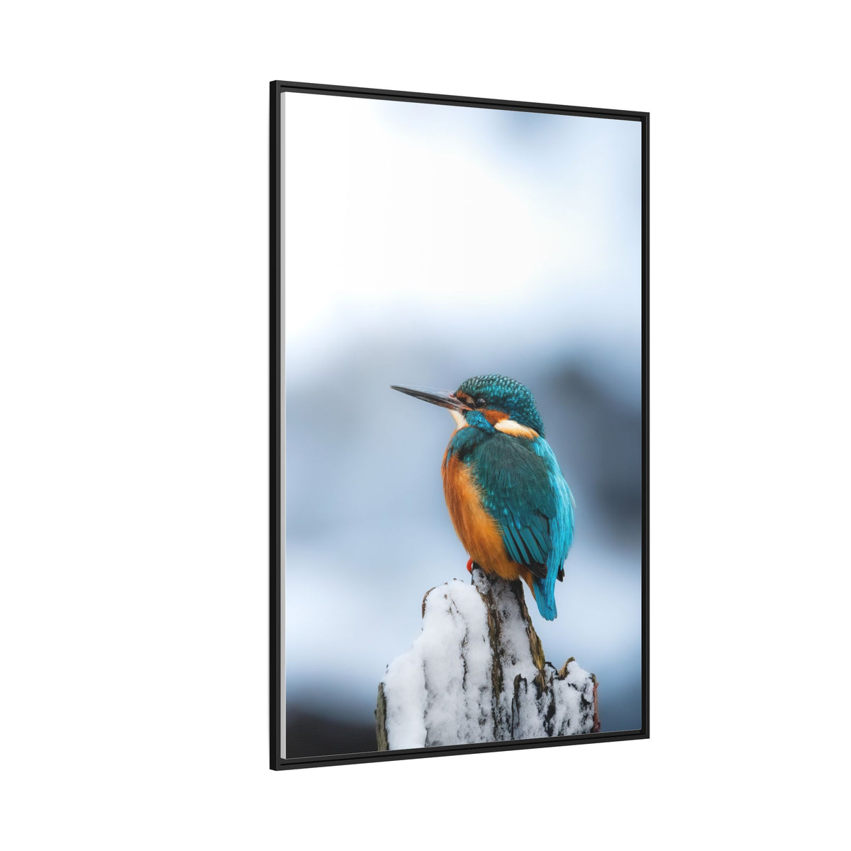 Framed Kingfisher Canvas Print — Matte Nature Wall Art