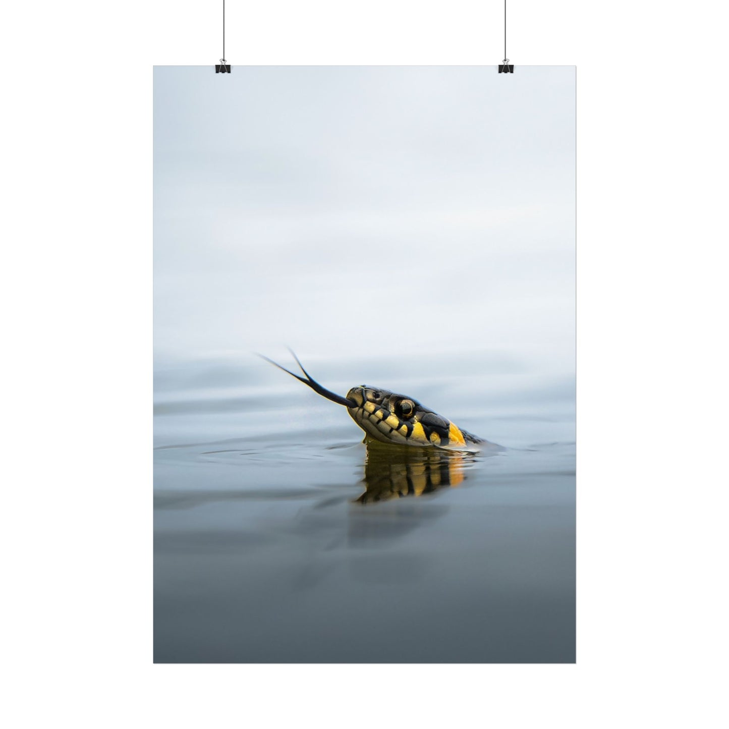 Swimming snake poster