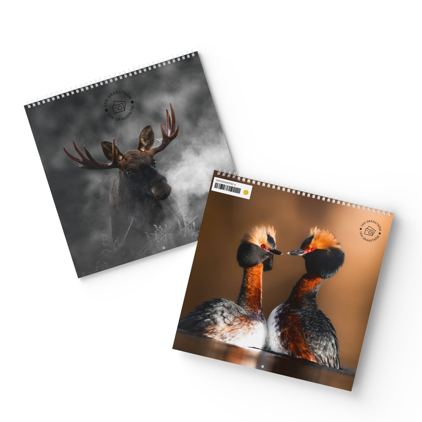 Wall Calendar Nature Photos from Finland 2026