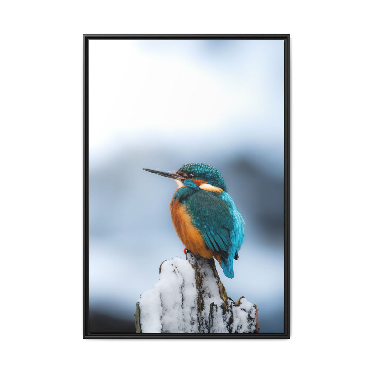 Framed Kingfisher Canvas Print — Matte Nature Wall Art