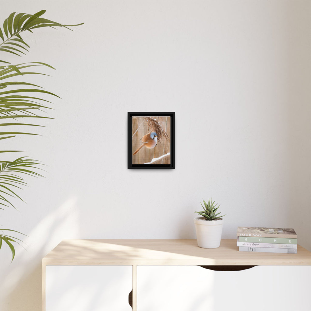 Framed Matte Canvas - Bearded Reedling Bird Photography (Winter Marsh)