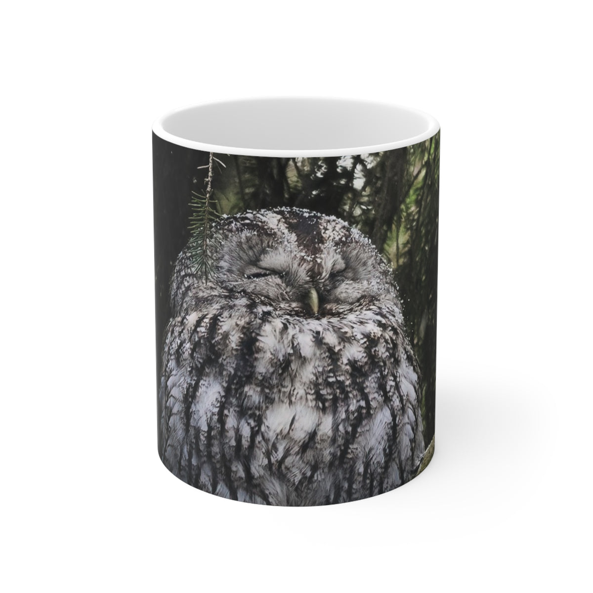 Sleepy Owl Ceramic Coffee Cups, 11oz, 15oz