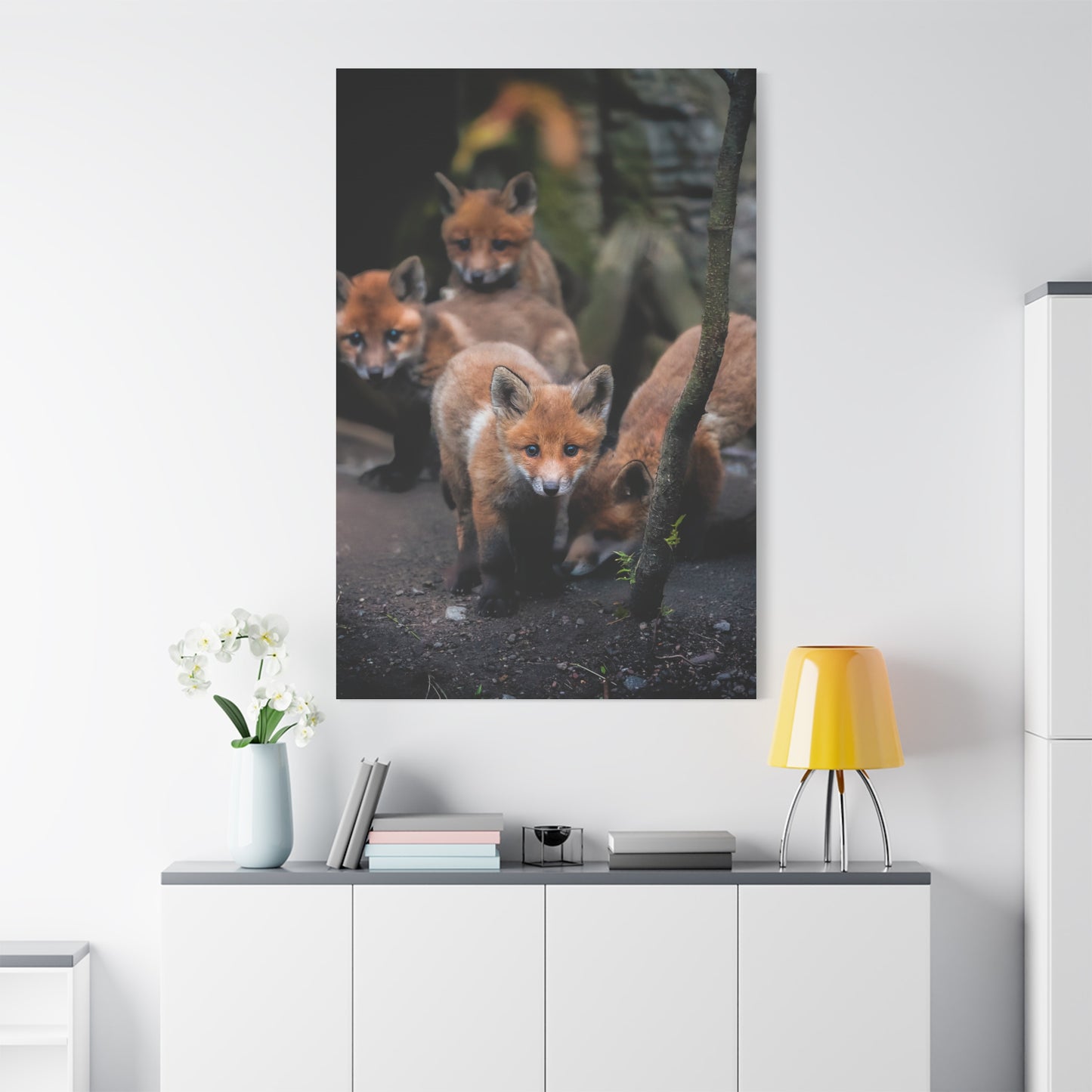 Fox Siblings