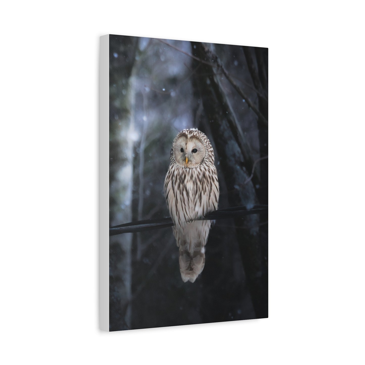 Snowy Owl Matte Canvas