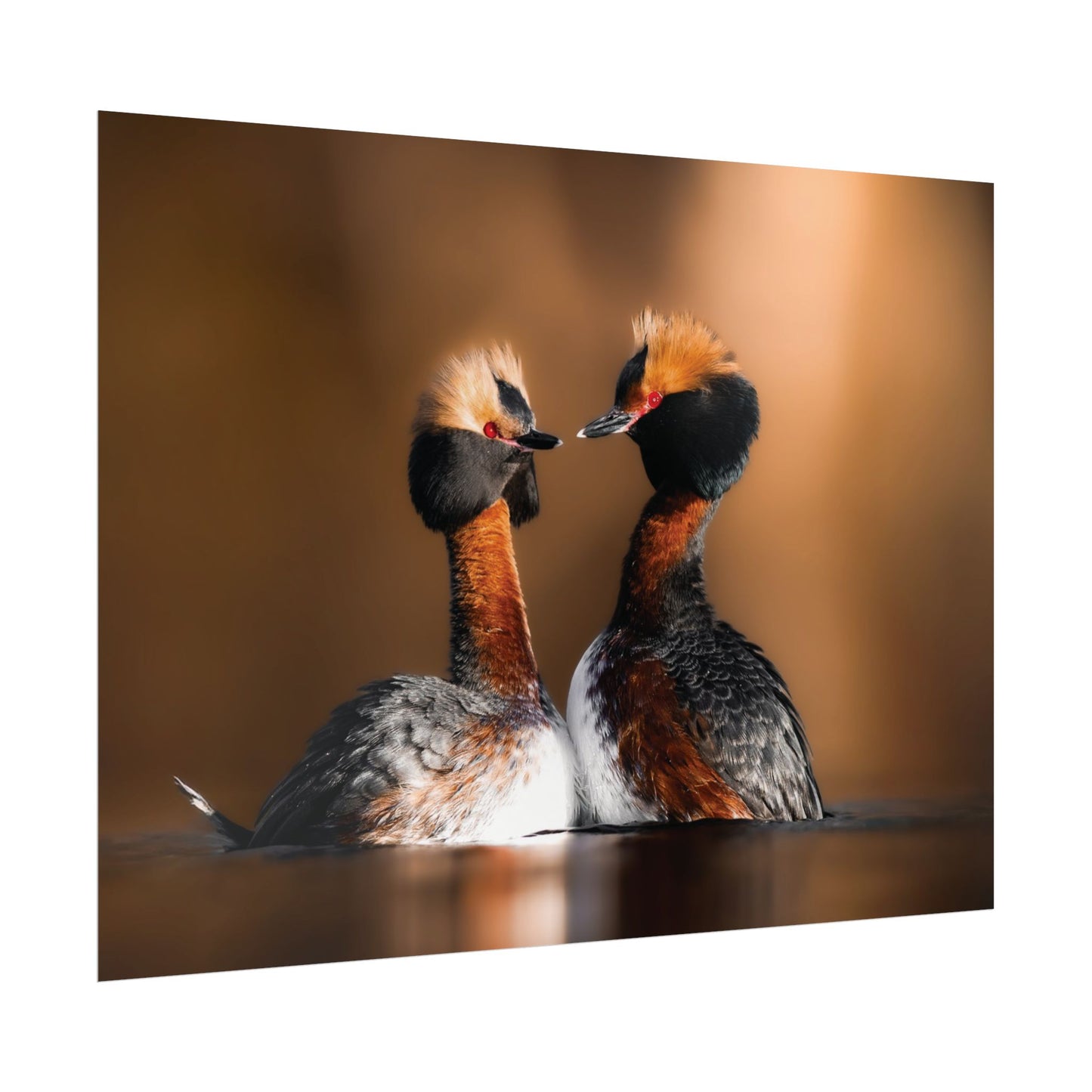 Mating Ritual poster