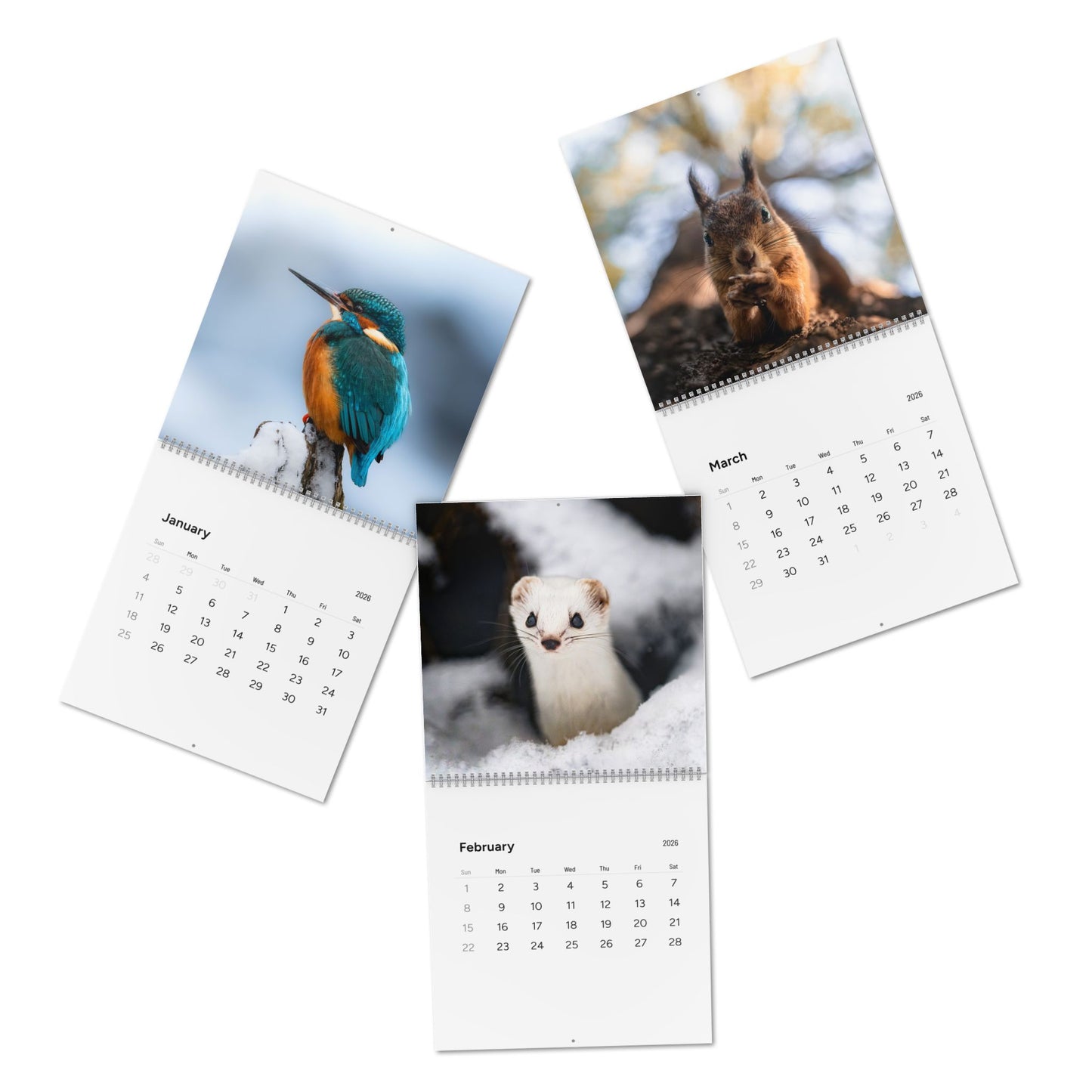 Wall Calendar Nature Photos from Finland 2026