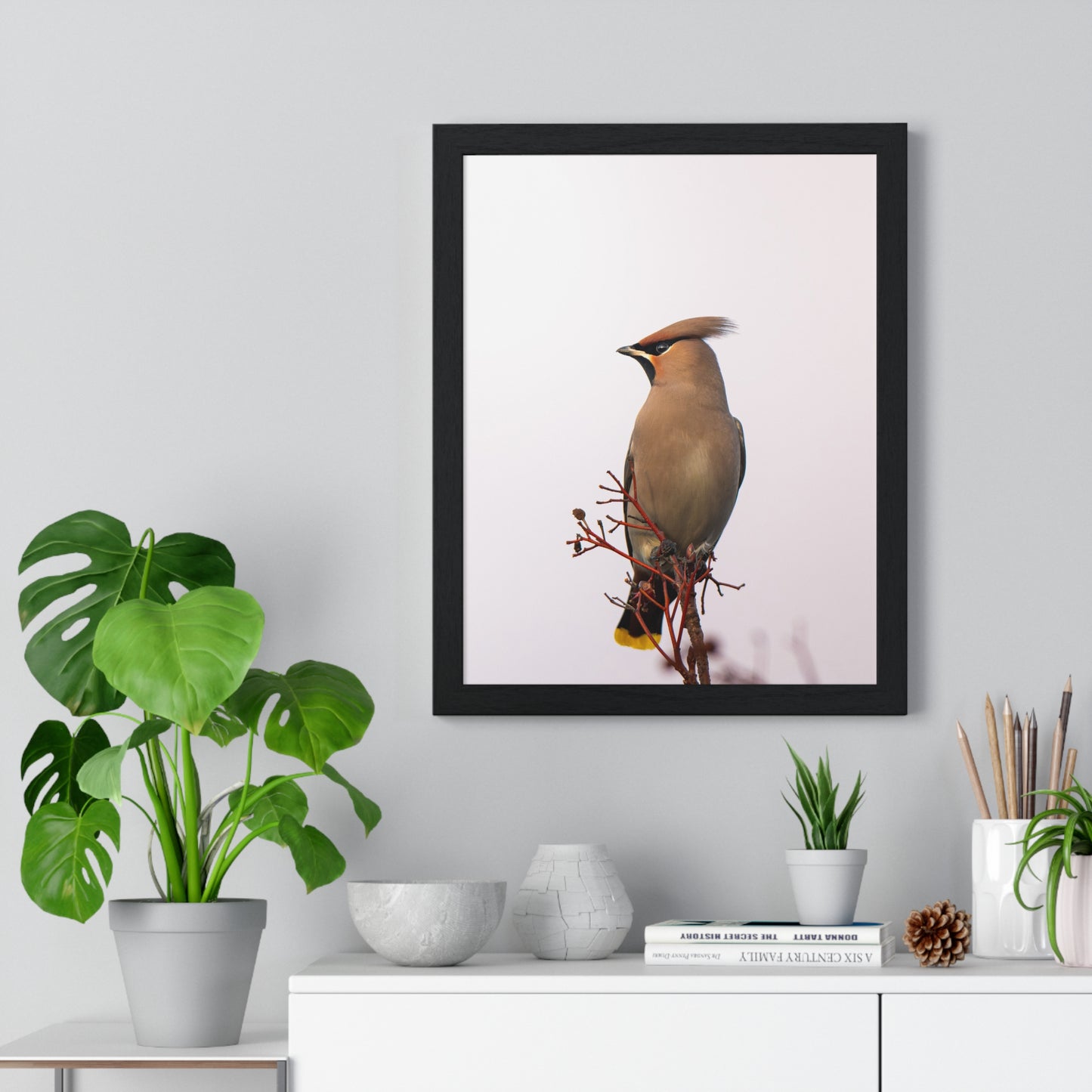 Bohemian Waxwing during sunset