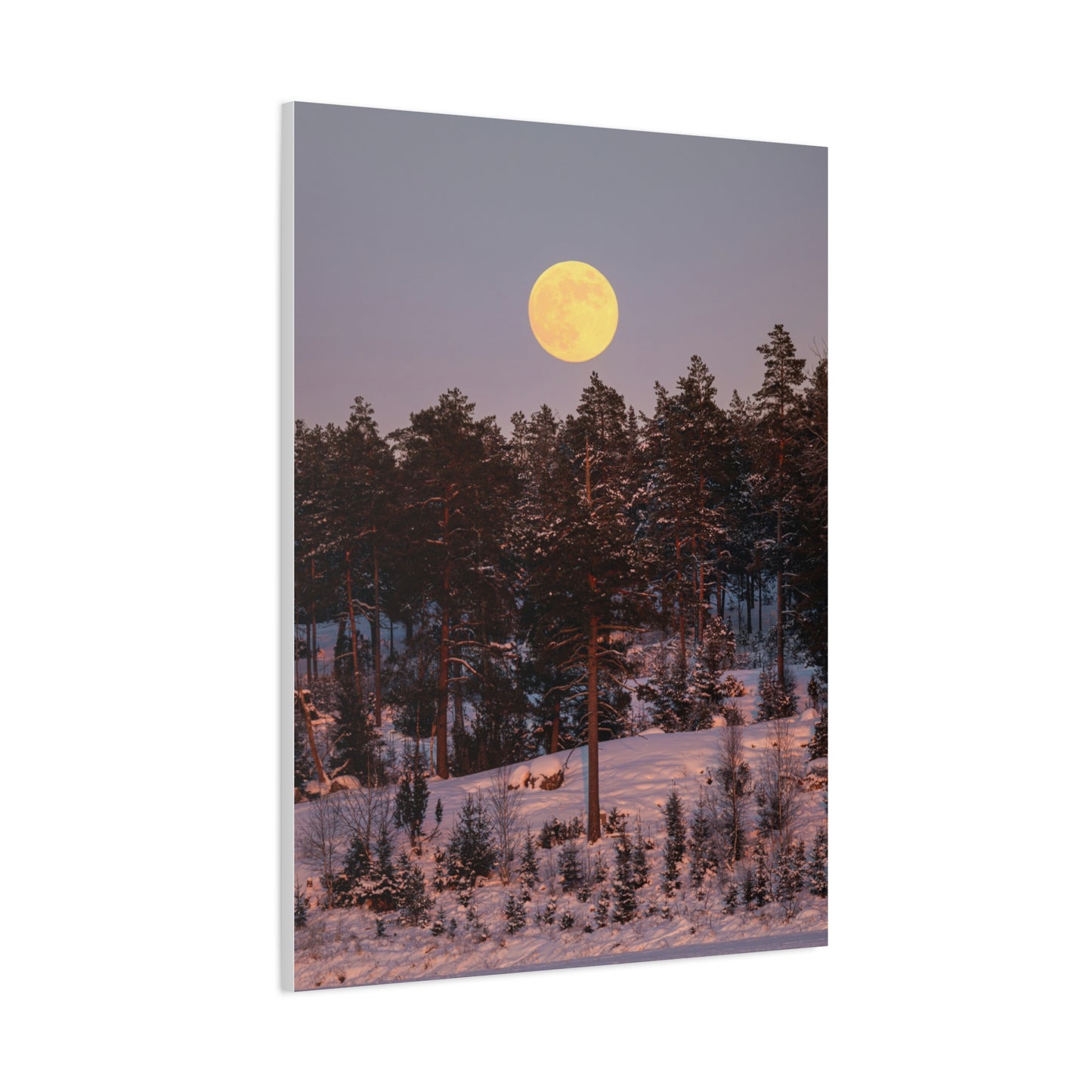 Winter Moonrise