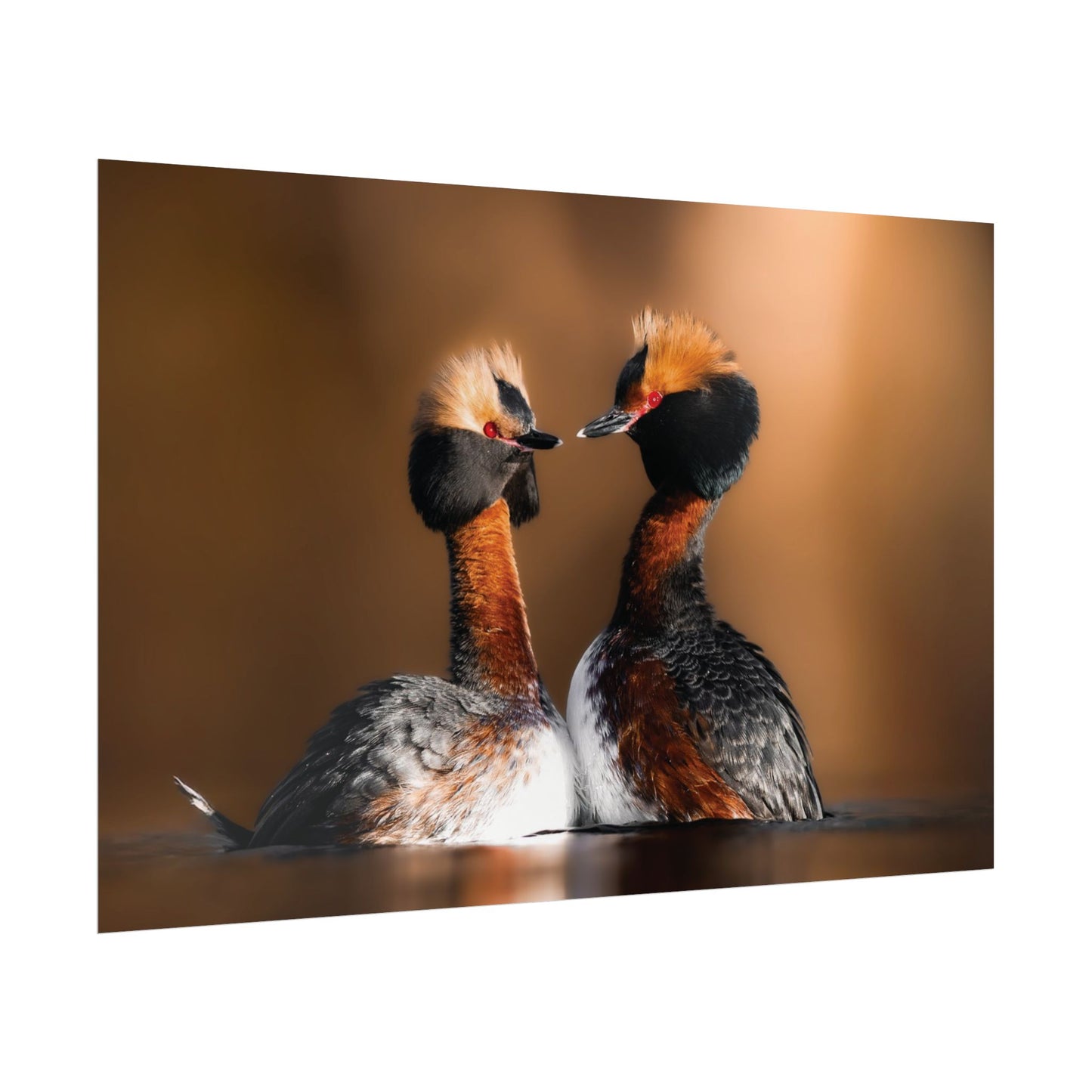 Mating Ritual poster