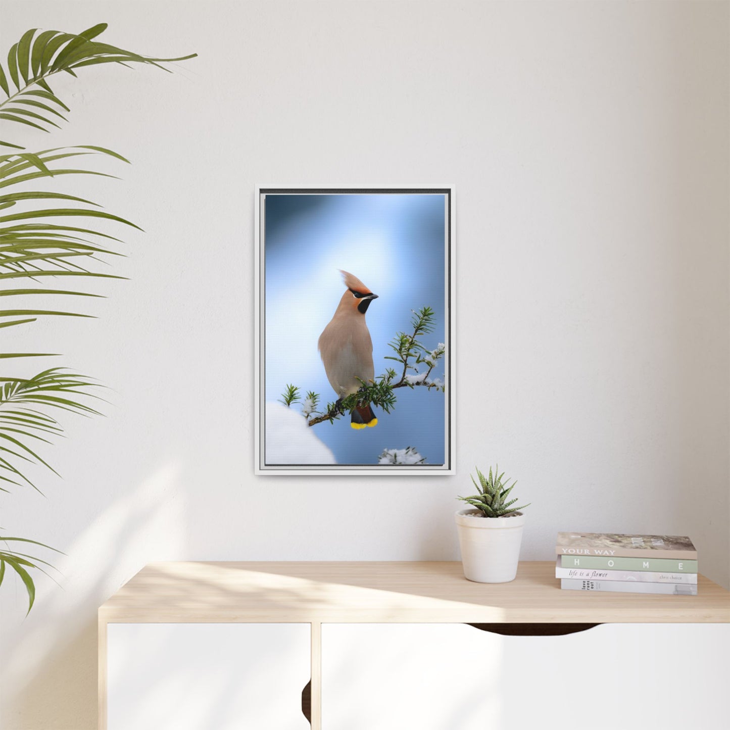 Bohemian Waxwing