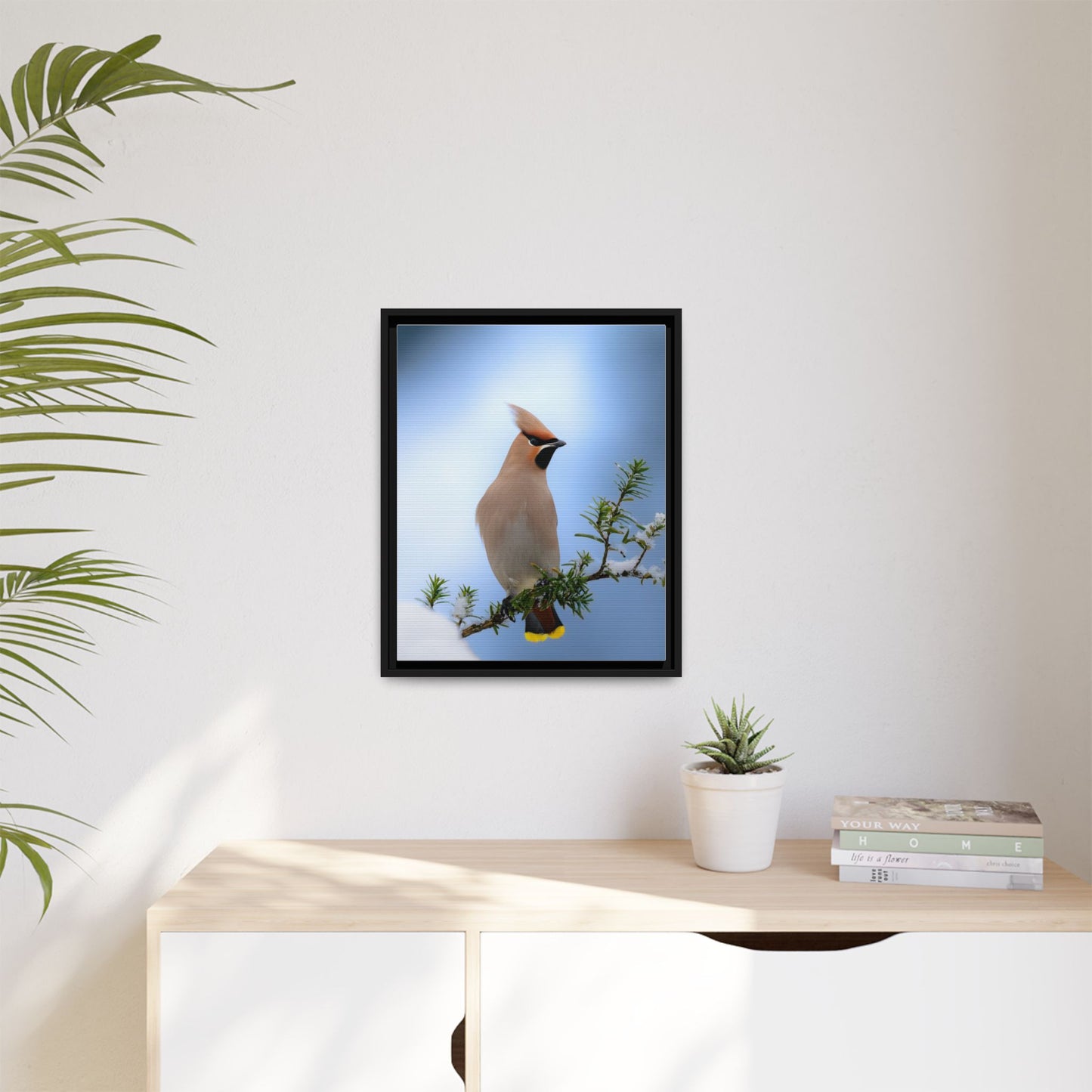 Bohemian Waxwing