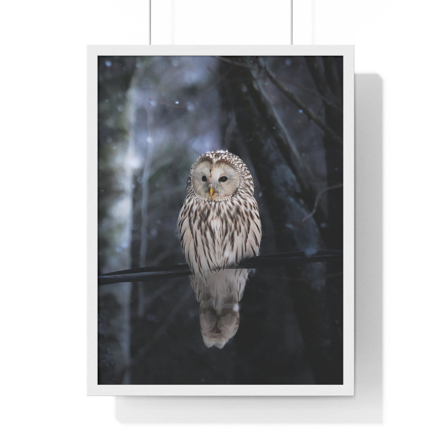 Winter Owl