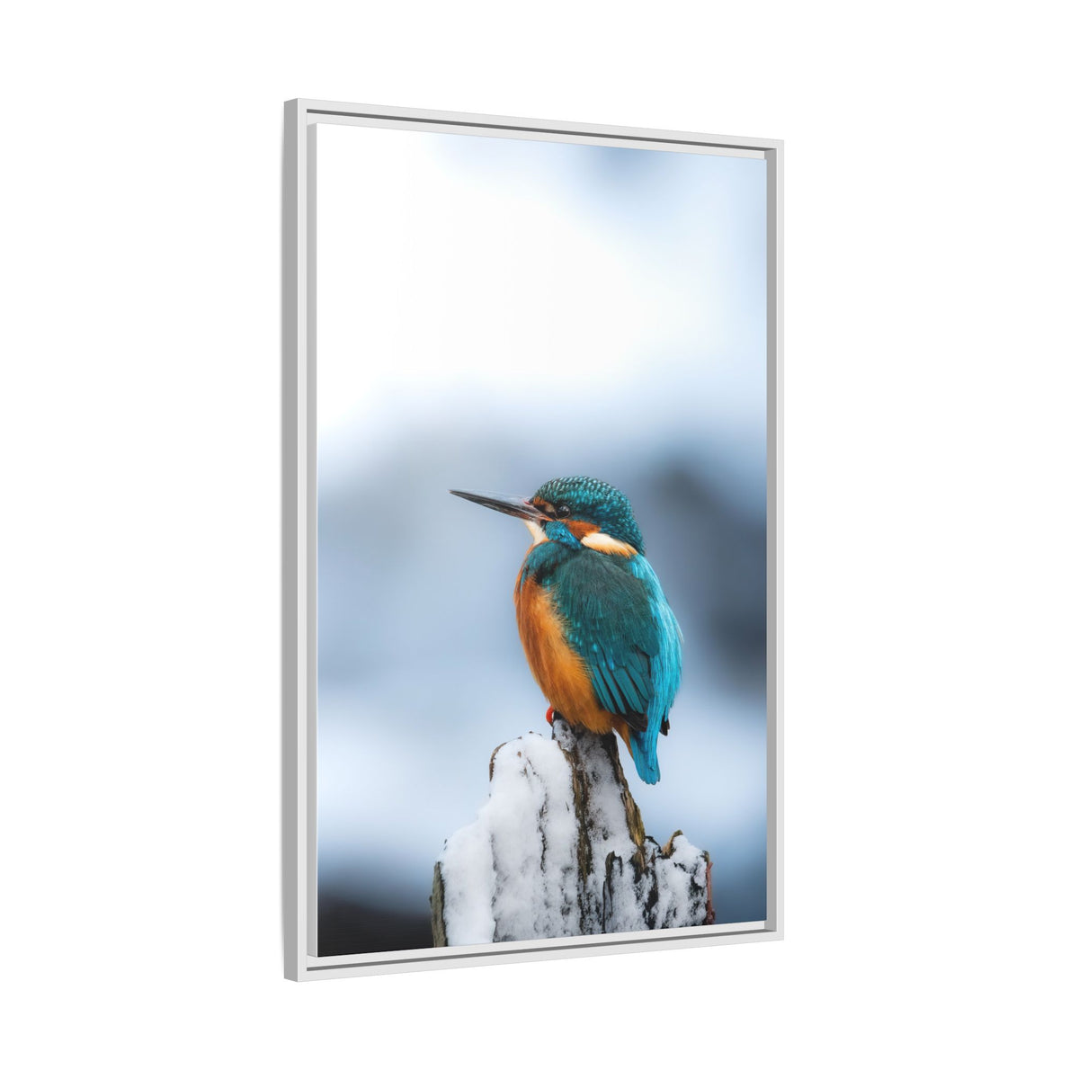 Framed Kingfisher Canvas Print — Matte Nature Wall Art