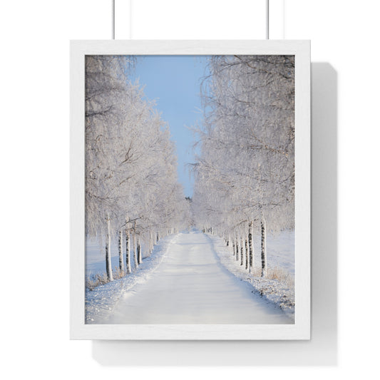 Winter Wonderland