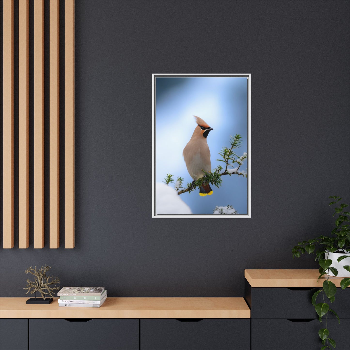 Bohemian Waxwing