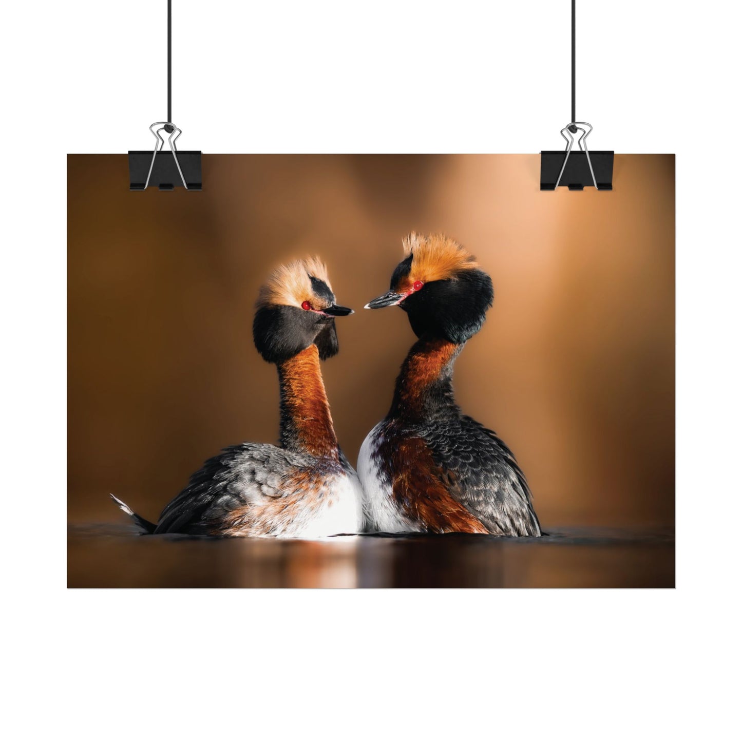 Mating Ritual poster