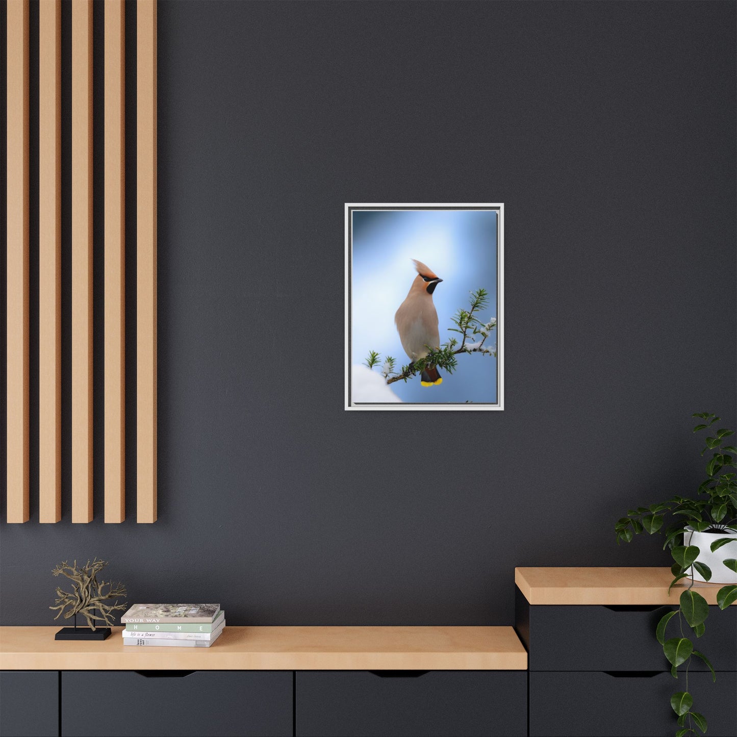 Bohemian Waxwing