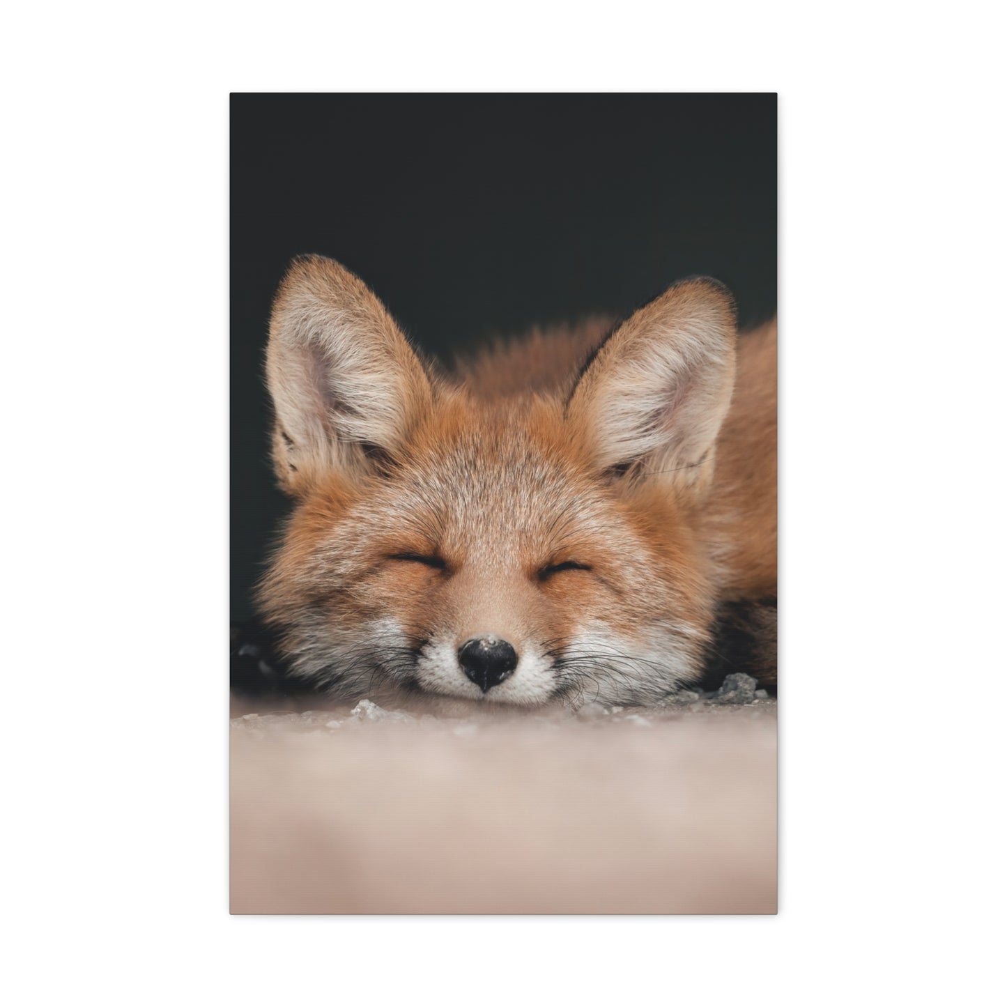 Heartshaped nose