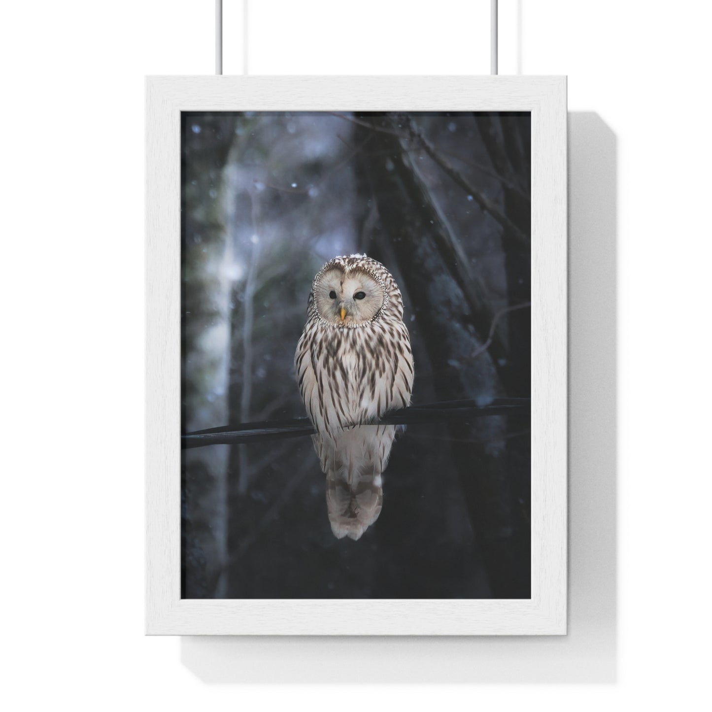 Winter Owl