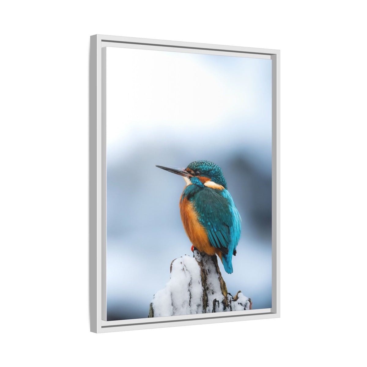 Framed Kingfisher Canvas Print — Matte Nature Wall Art
