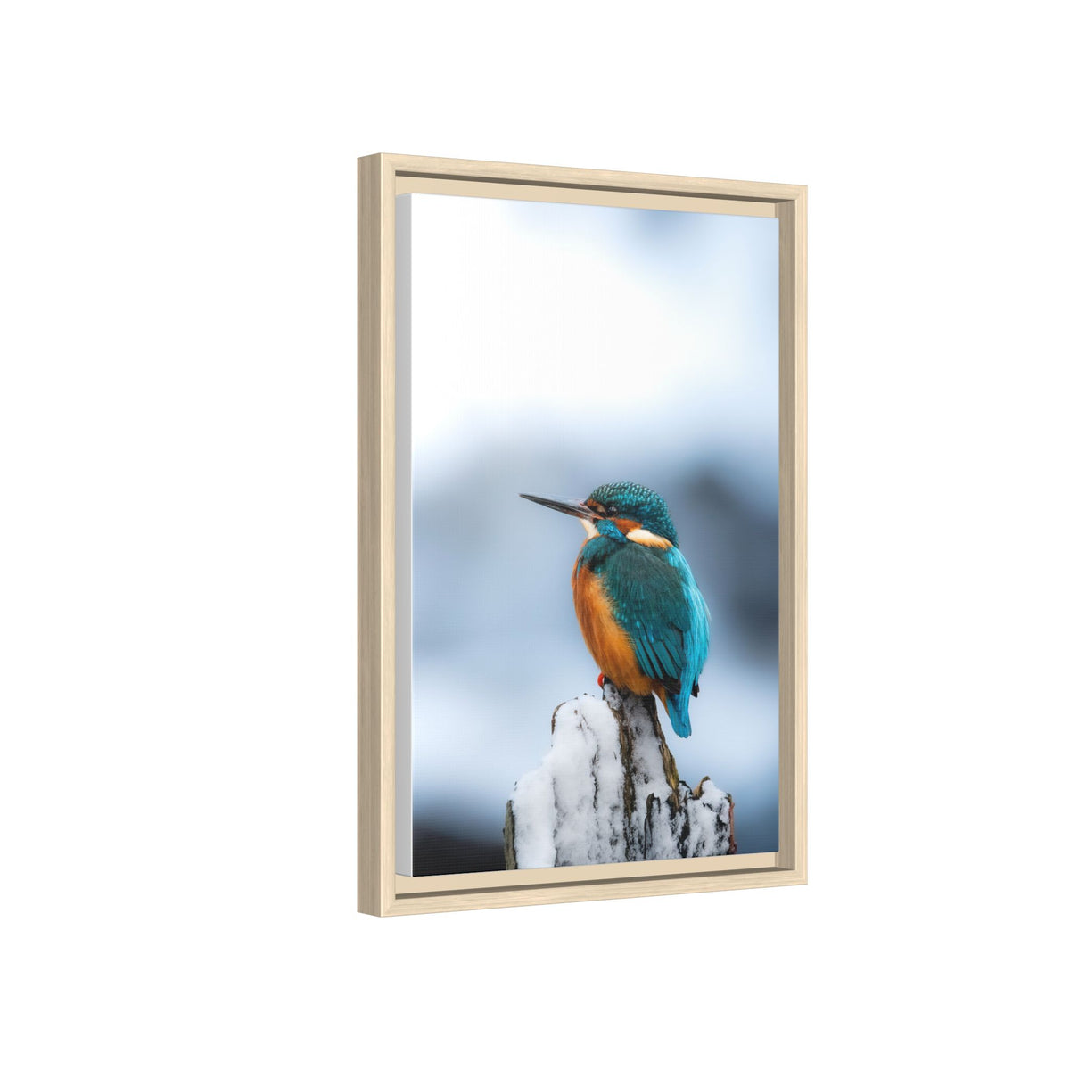 Framed Kingfisher Canvas Print — Matte Nature Wall Art