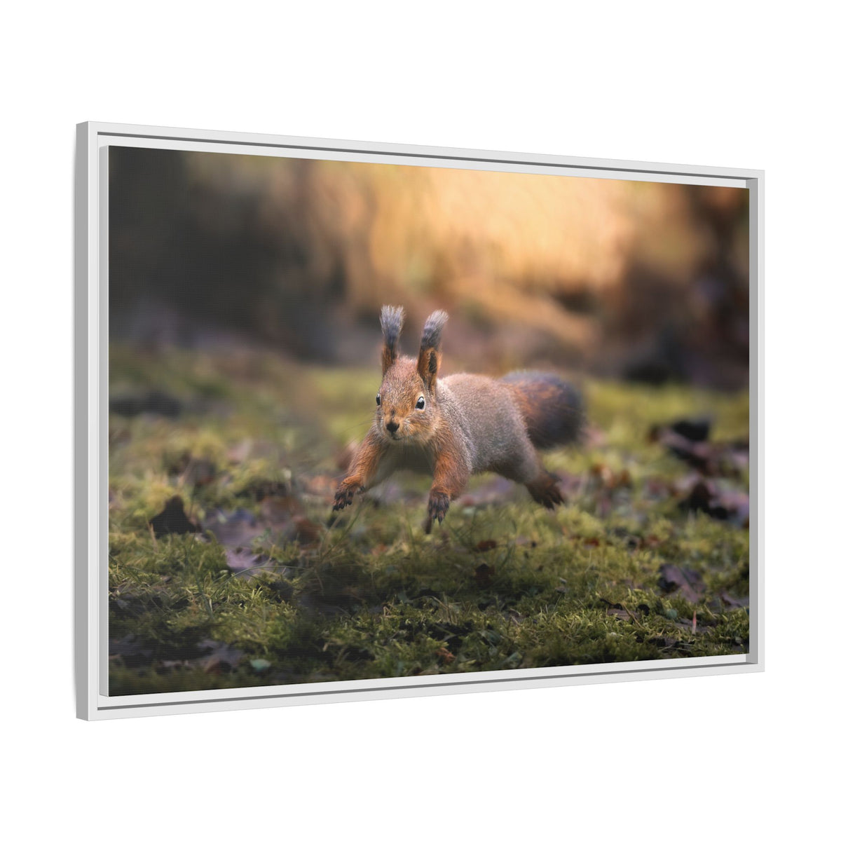 Framed Matte Canvas – Red Squirrel in Mossy Forest Wall Art