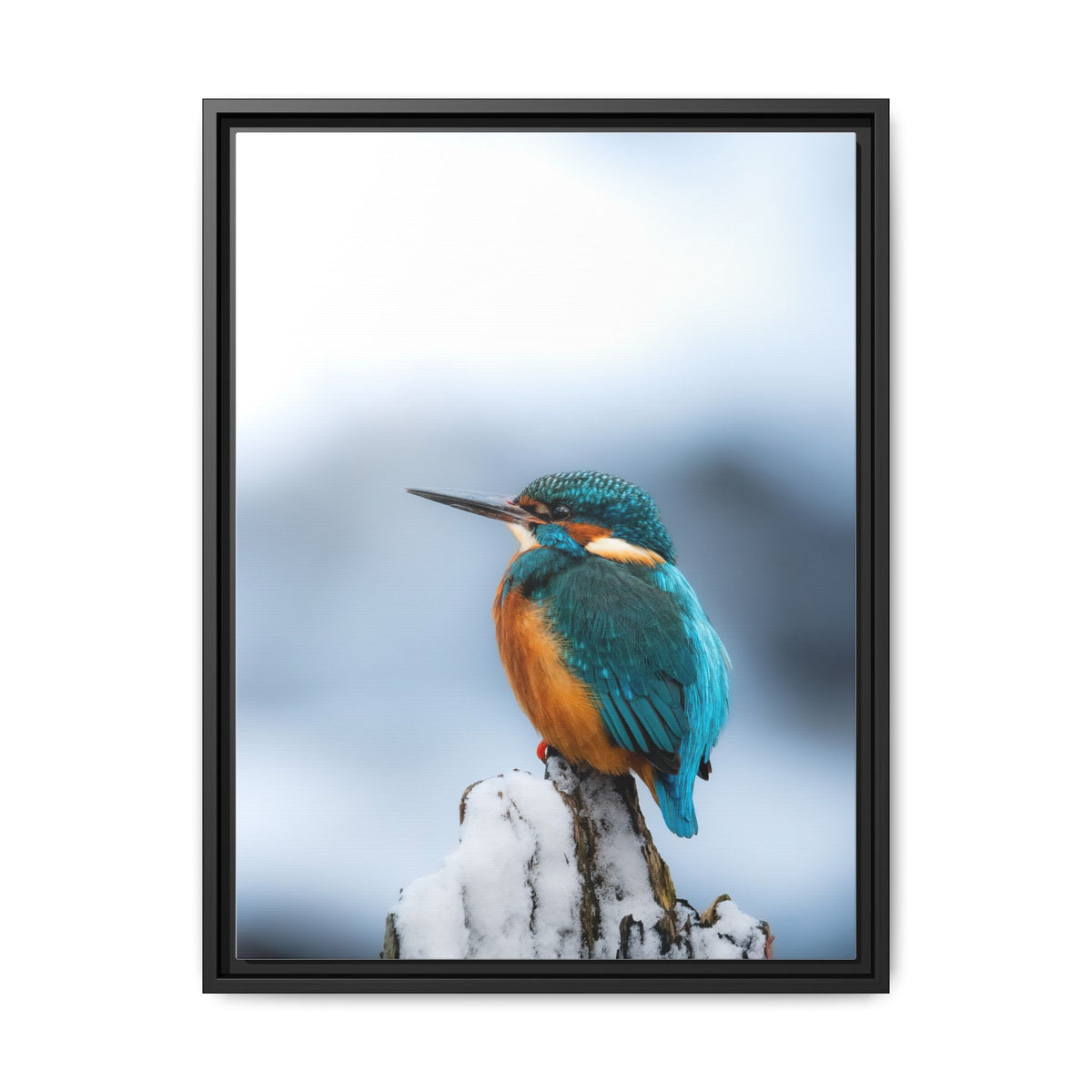 Framed Kingfisher Canvas Print — Matte Nature Wall Art