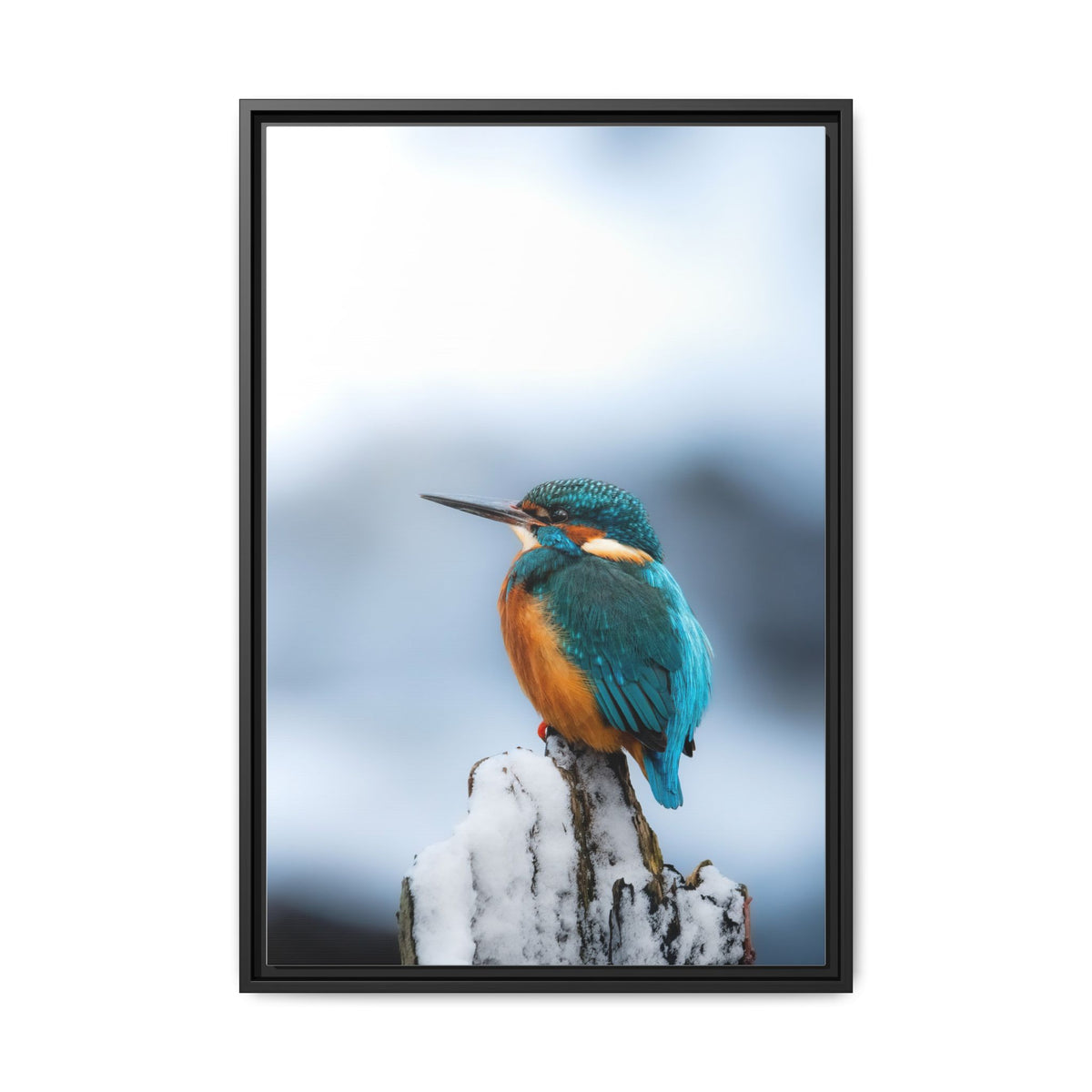 Framed Kingfisher Canvas Print — Matte Nature Wall Art