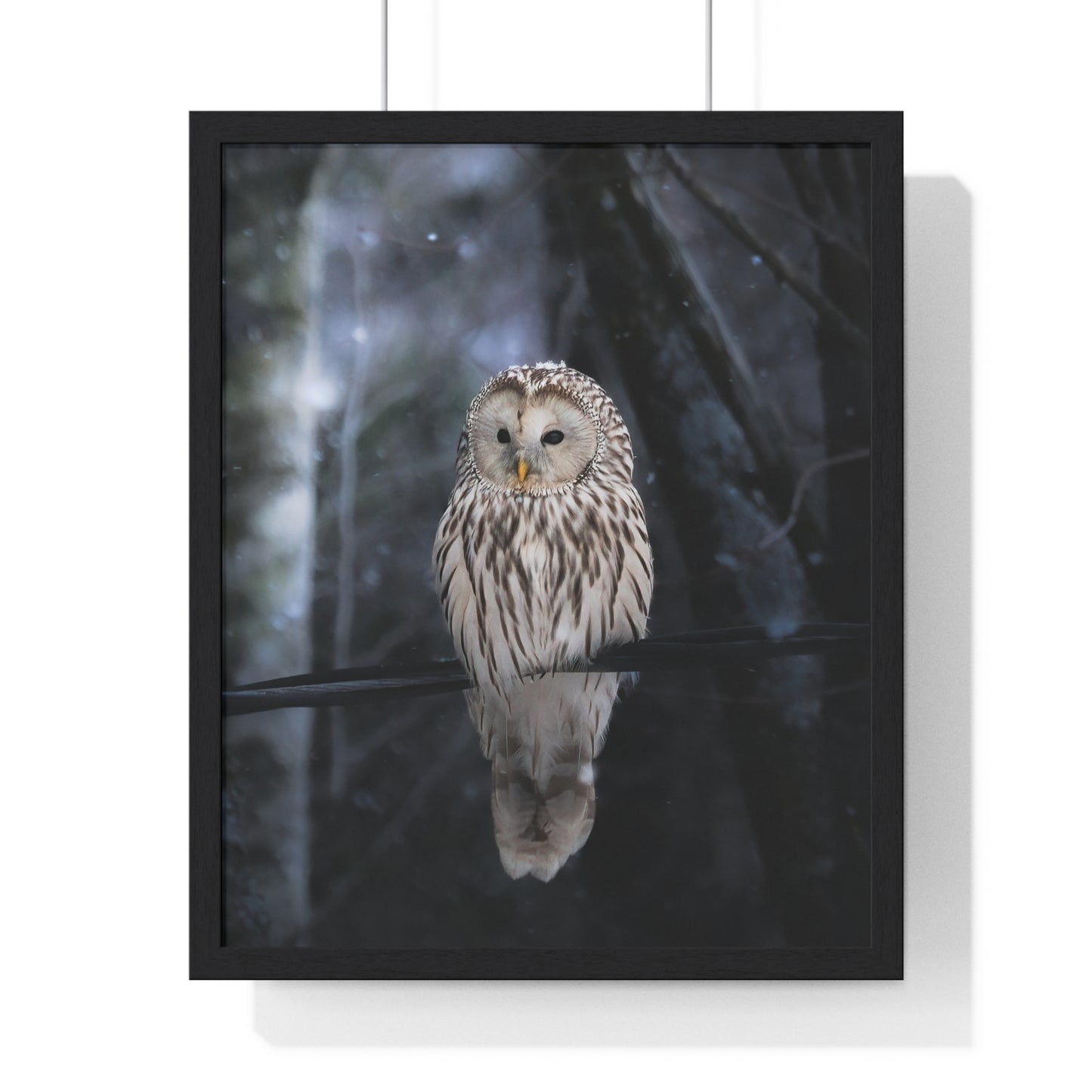 Winter Owl