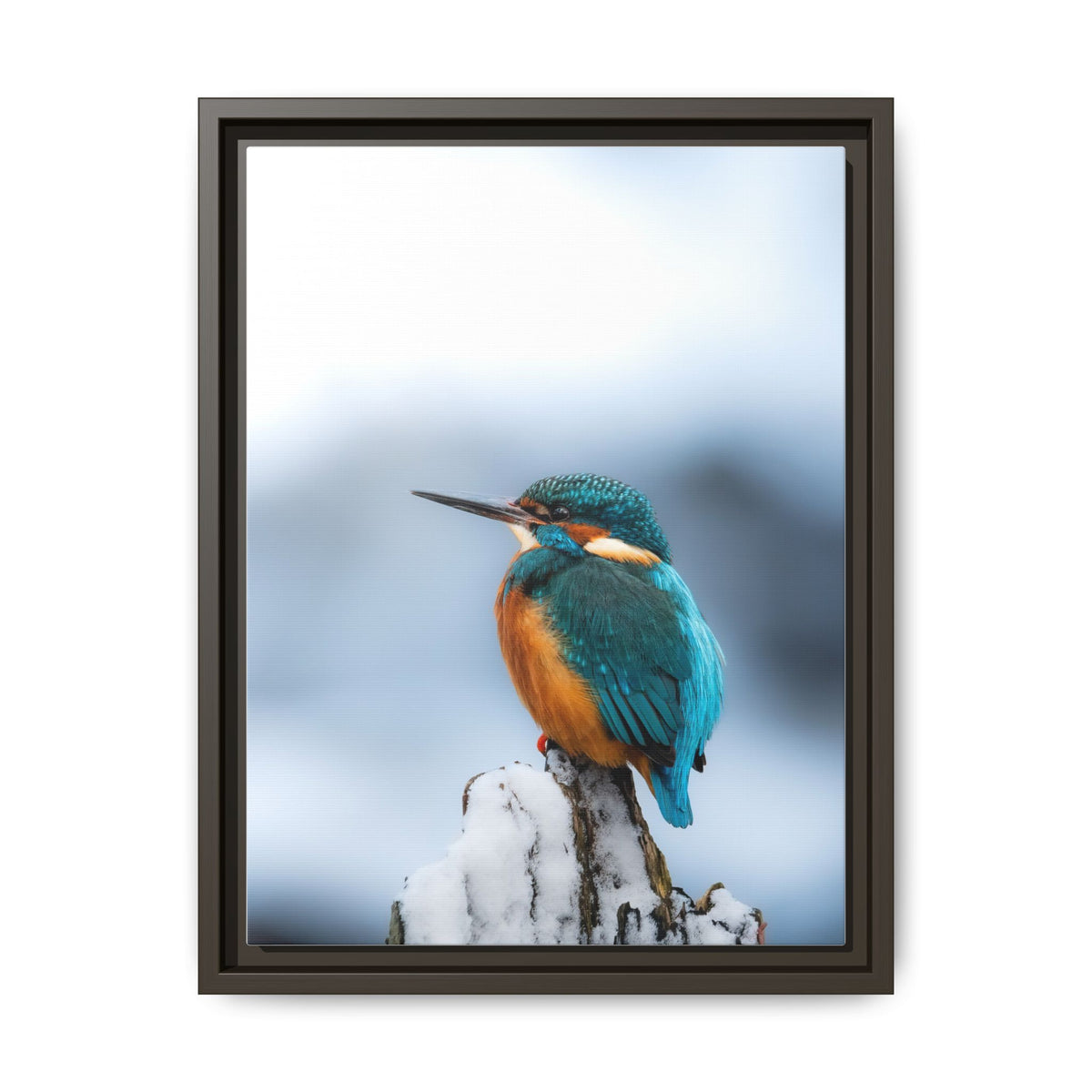 Framed Kingfisher Canvas Print — Matte Nature Wall Art
