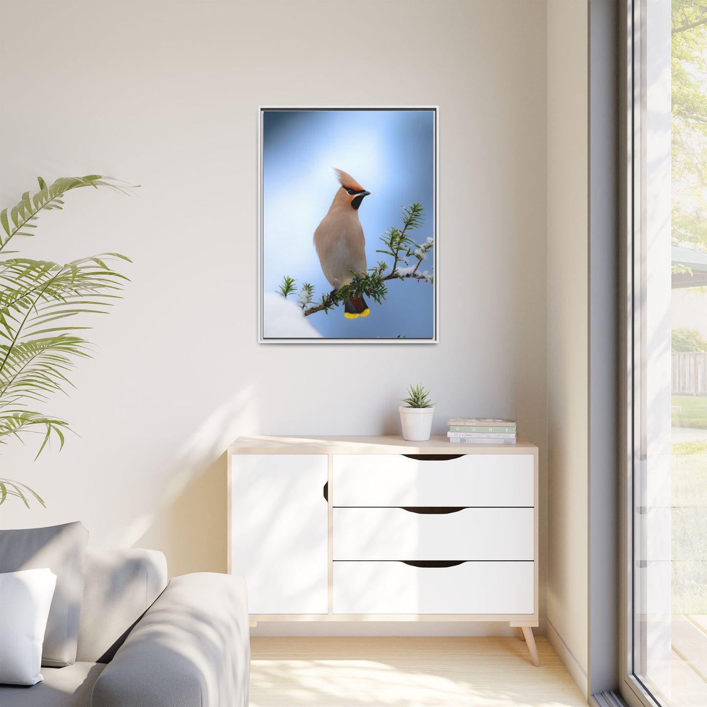 Bohemian Waxwing