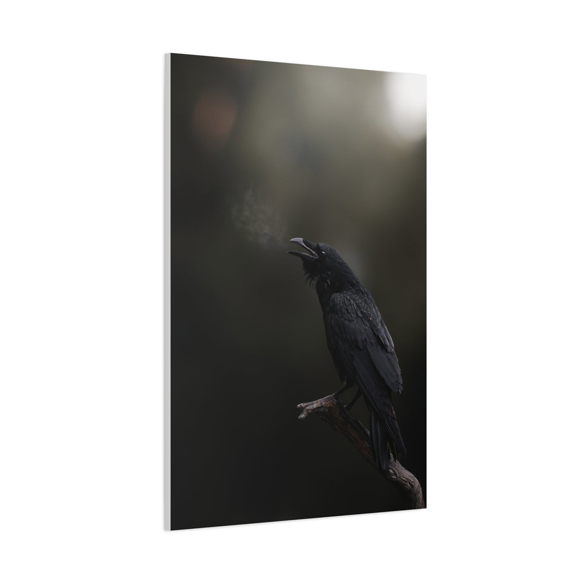 Raven Perched Matte Canvas Wall Art — Moody Dark Nature Photography