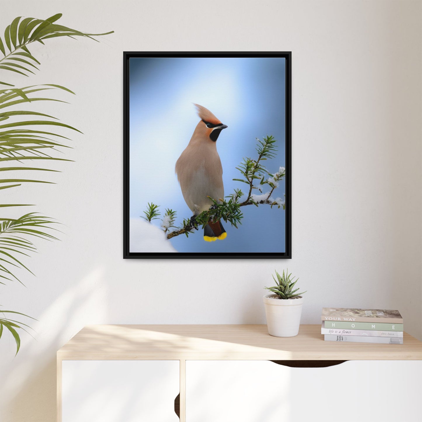 Bohemian Waxwing