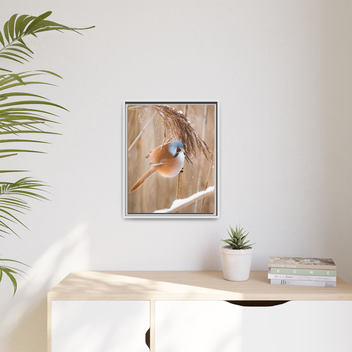 Framed Matte Canvas - Bearded Reedling Bird Photography (Winter Marsh)