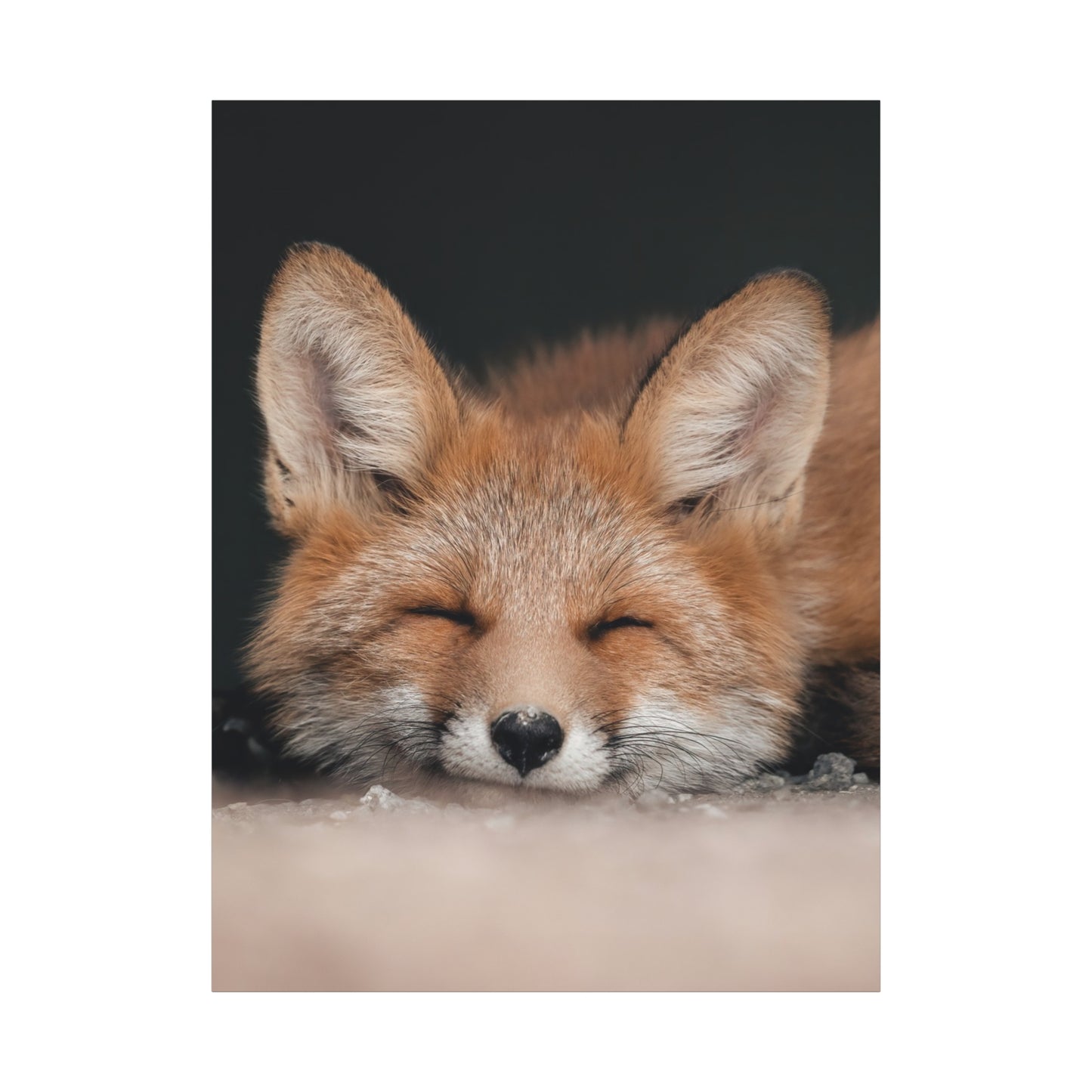 Heartshaped nose