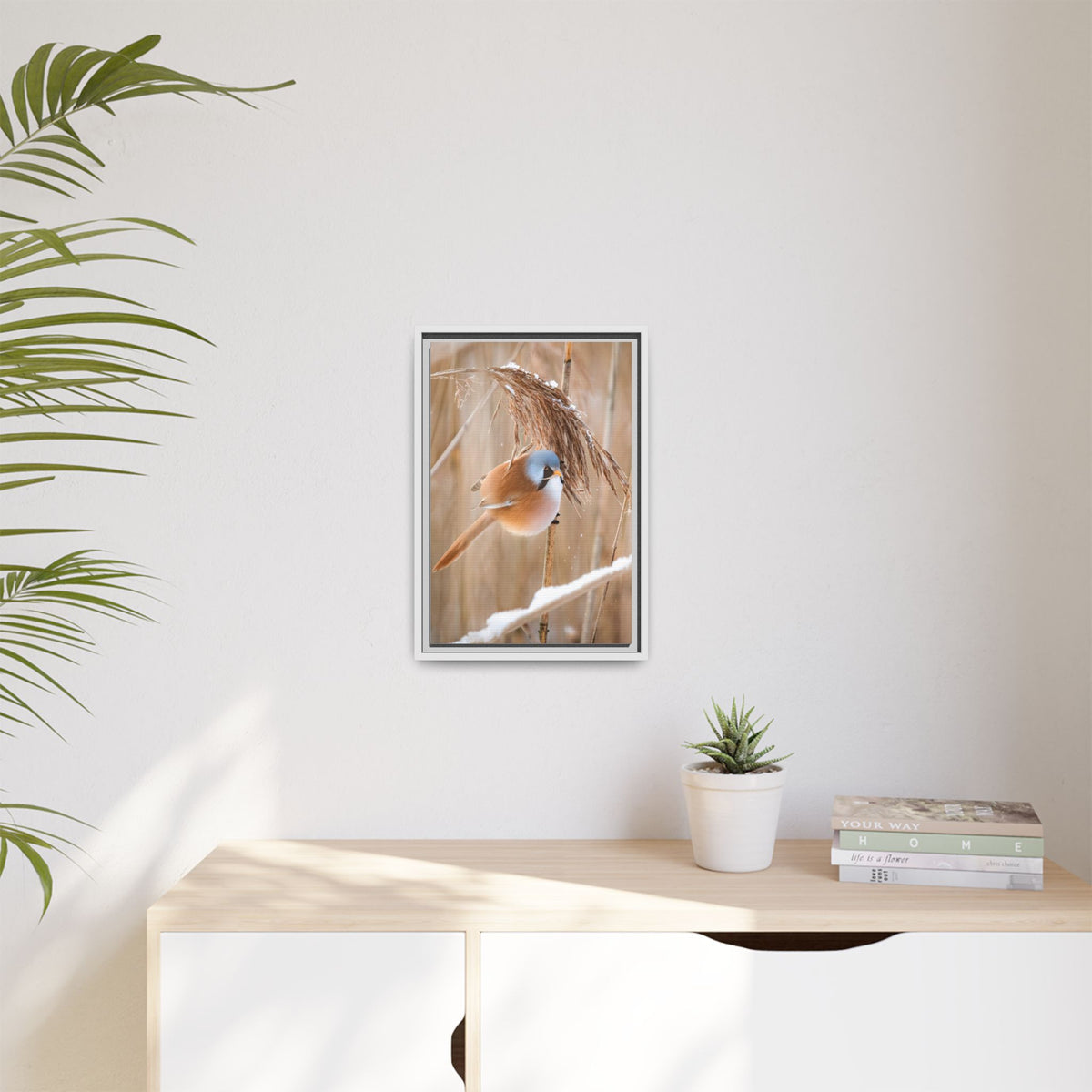 Framed Matte Canvas - Bearded Reedling Bird Photography (Winter Marsh)
