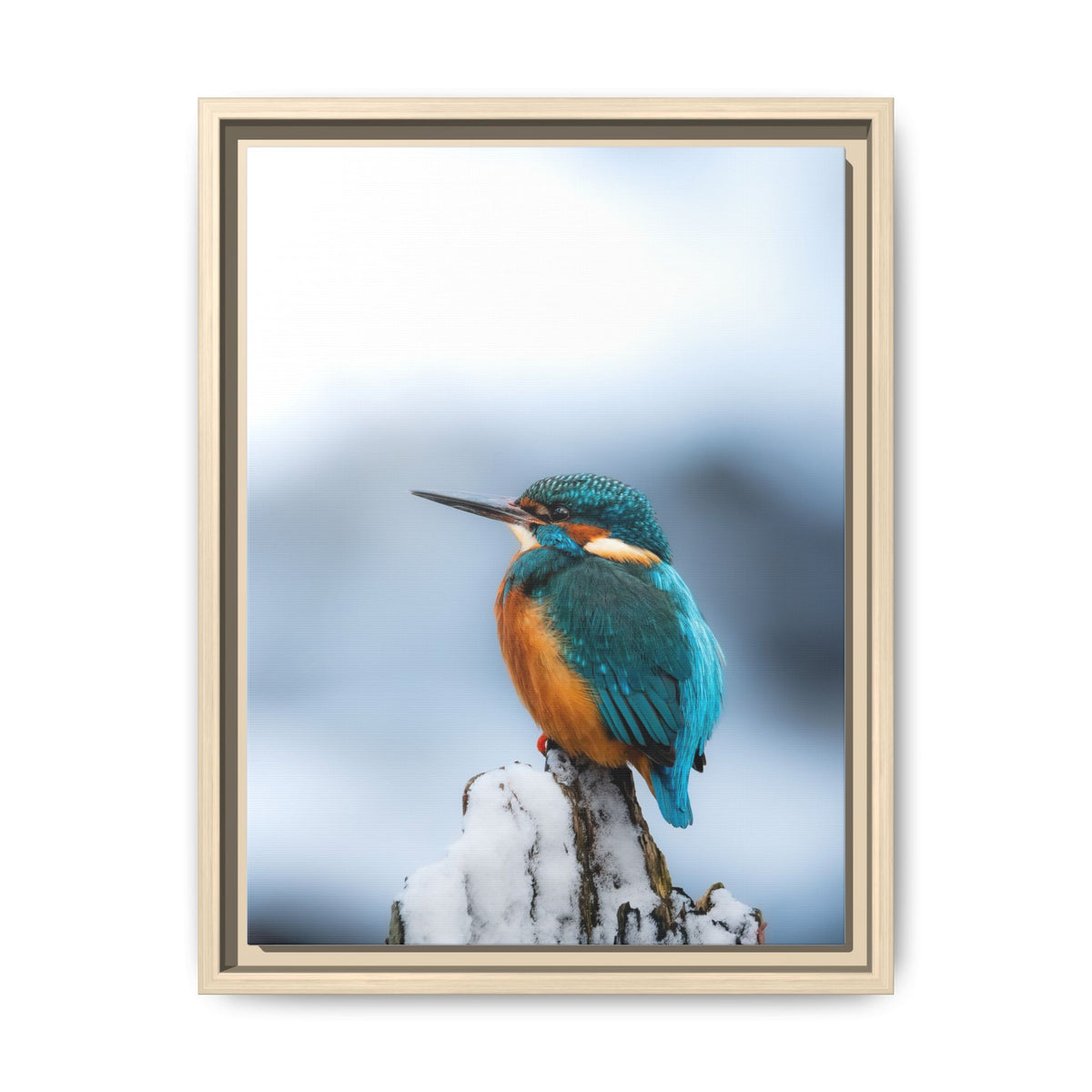 Framed Kingfisher Canvas Print — Matte Nature Wall Art
